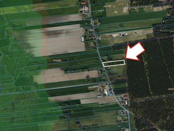 Działka budowlana 3116 m² z WZ, Podłęże gm. Świnice Warckie