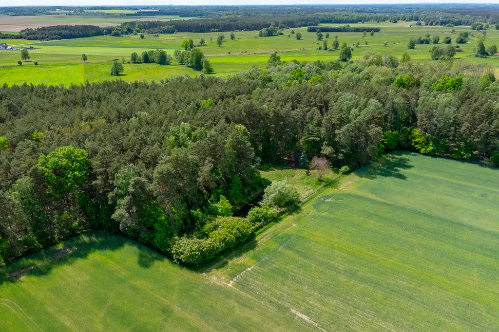 Działka budowlana 2300 m² ze stawem w Górach Prusinowskich