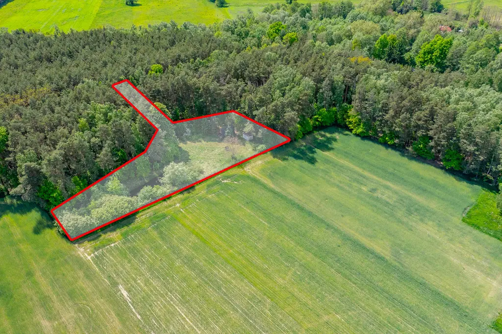 Działka budowlana 2300 m² ze stawem w Górach Prusinowskich
