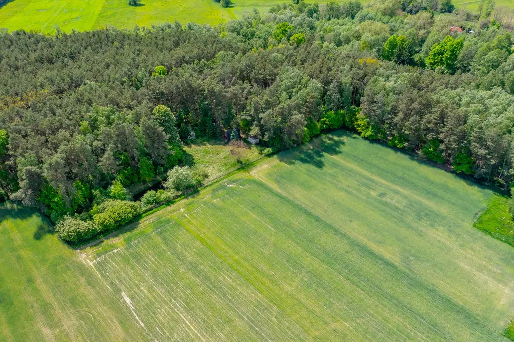Działka budowlana 2300 m² ze stawem w Górach Prusinowskich