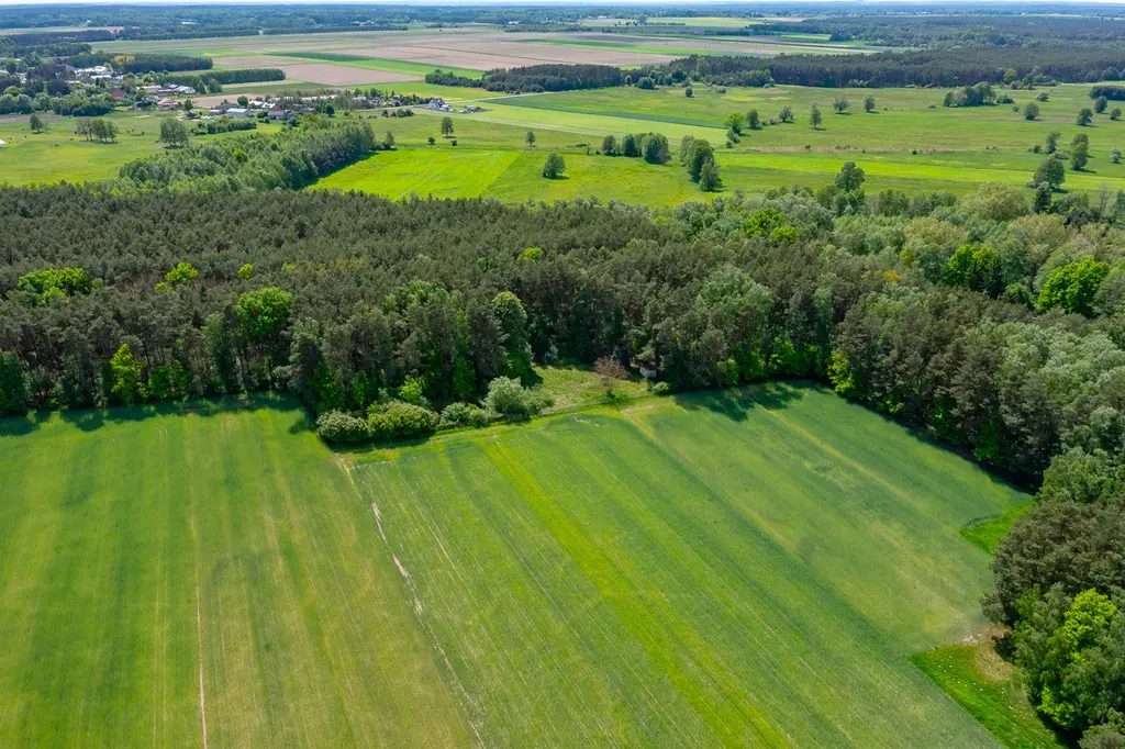 Działka budowlana 2300 m² ze stawem w Górach Prusinowskich