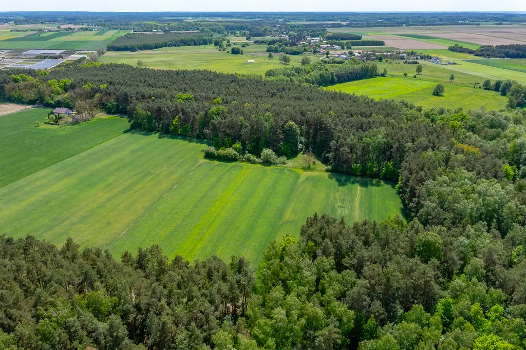 Działka budowlana 2300 m² ze stawem w Górach Prusinowskich