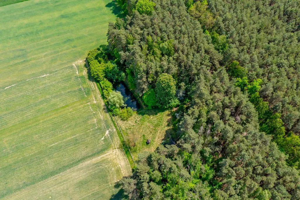 Działka budowlana 2300 m² ze stawem w Górach Prusinowskich
