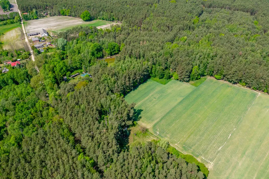 Działka budowlana 2300 m² ze stawem w Górach Prusinowskich