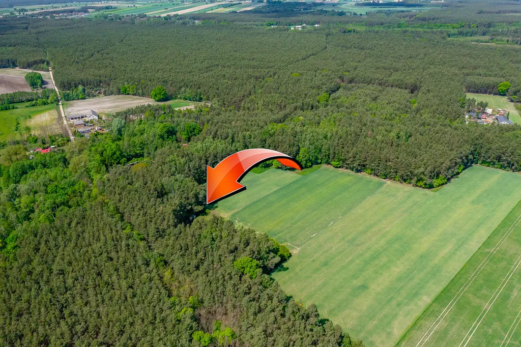 Działka budowlana 2300 m² ze stawem w Górach Prusinowskich