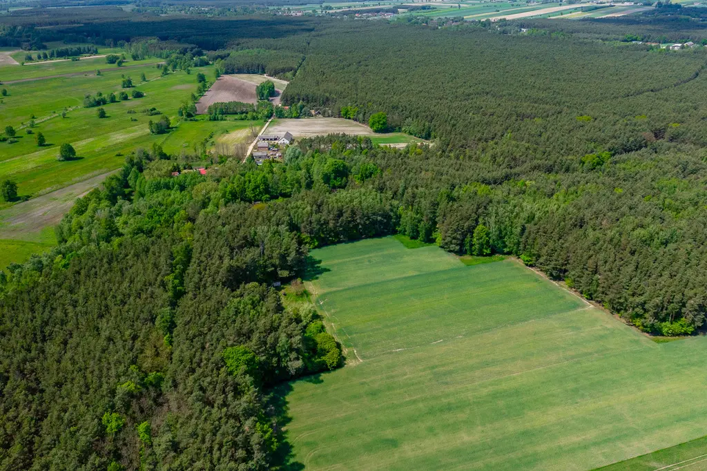 Działka budowlana 2300 m² ze stawem w Górach Prusinowskich