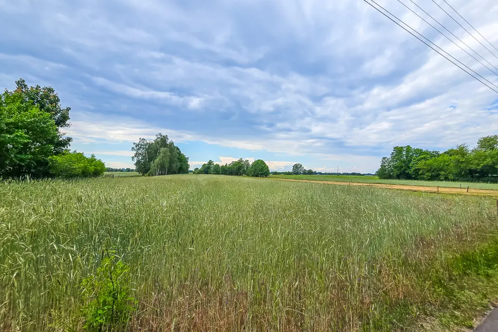 113171525 Działka budowlana 3116 m² z WZ, Podłęże gm. Świnice Warckie