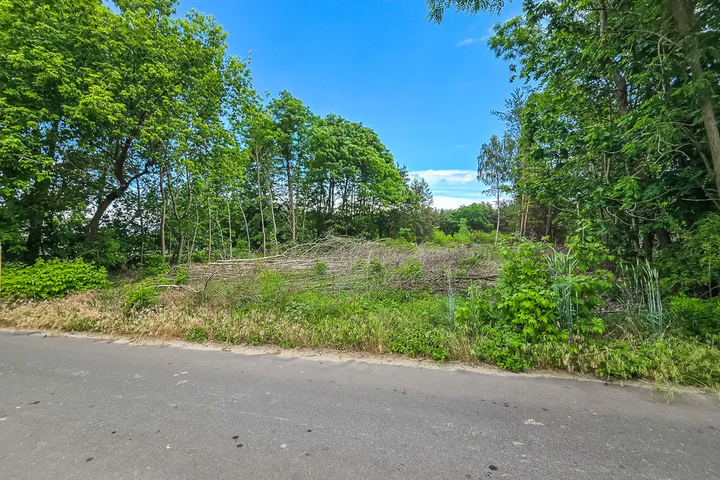 113171527 Działka budowlana 3116 m² z WZ, Podłęże gm. Świnice Warckie