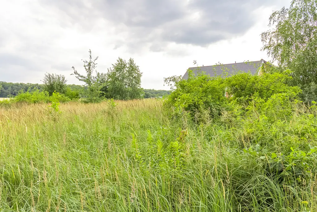 114000165 Działka budowlana 1513 m² Polik z MPZP blisko Łodzi