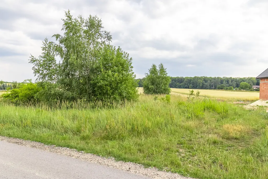 114000166 Działka budowlana 1513 m² Polik z MPZP blisko Łodzi