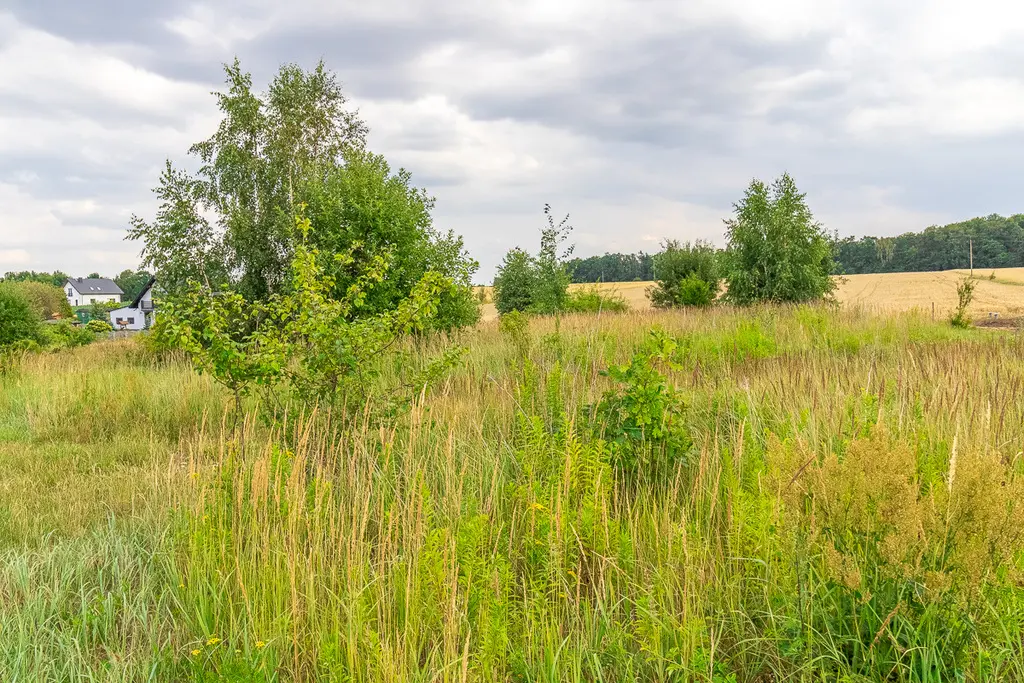 114000167 Działka budowlana 1513 m² Polik z MPZP blisko Łodzi