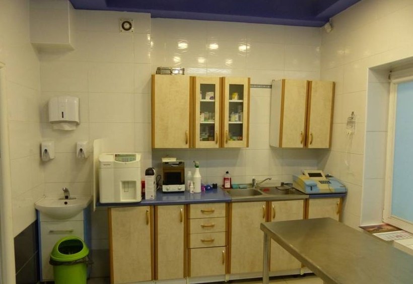 2 Nieruchomość użytkowo-mieszkalna w Międzyborowie pod Warszawą, blisko PKP
