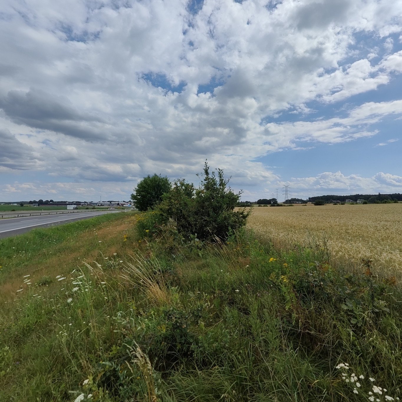 Działka inwestycyjna w Kruszowie 20.002 m2