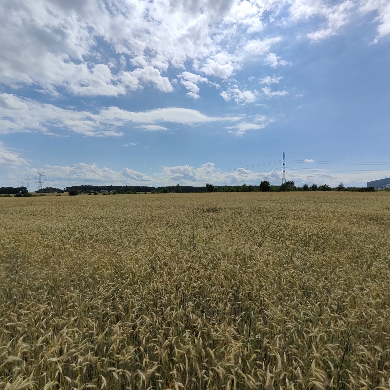 Działka inwestycyjna w Kruszowie 9.711 m2
