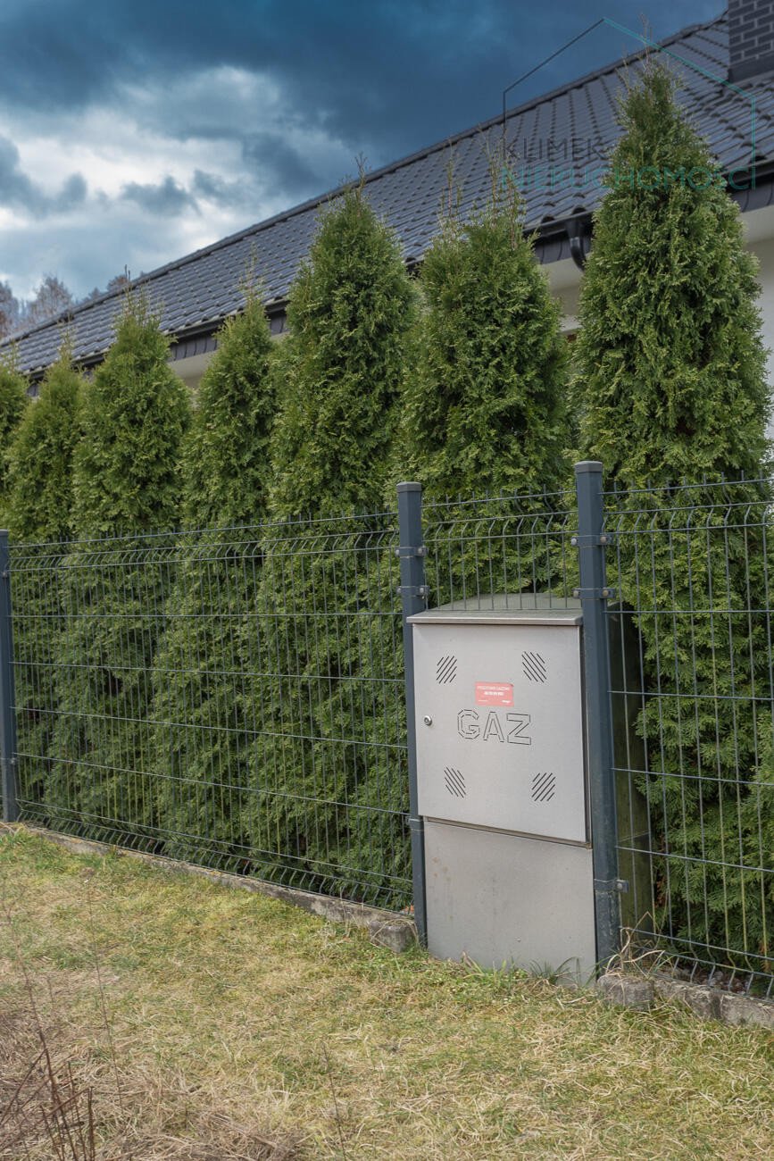 Działka na sprzedaż (zielonogórski, Czerwieńsk, Płoty)