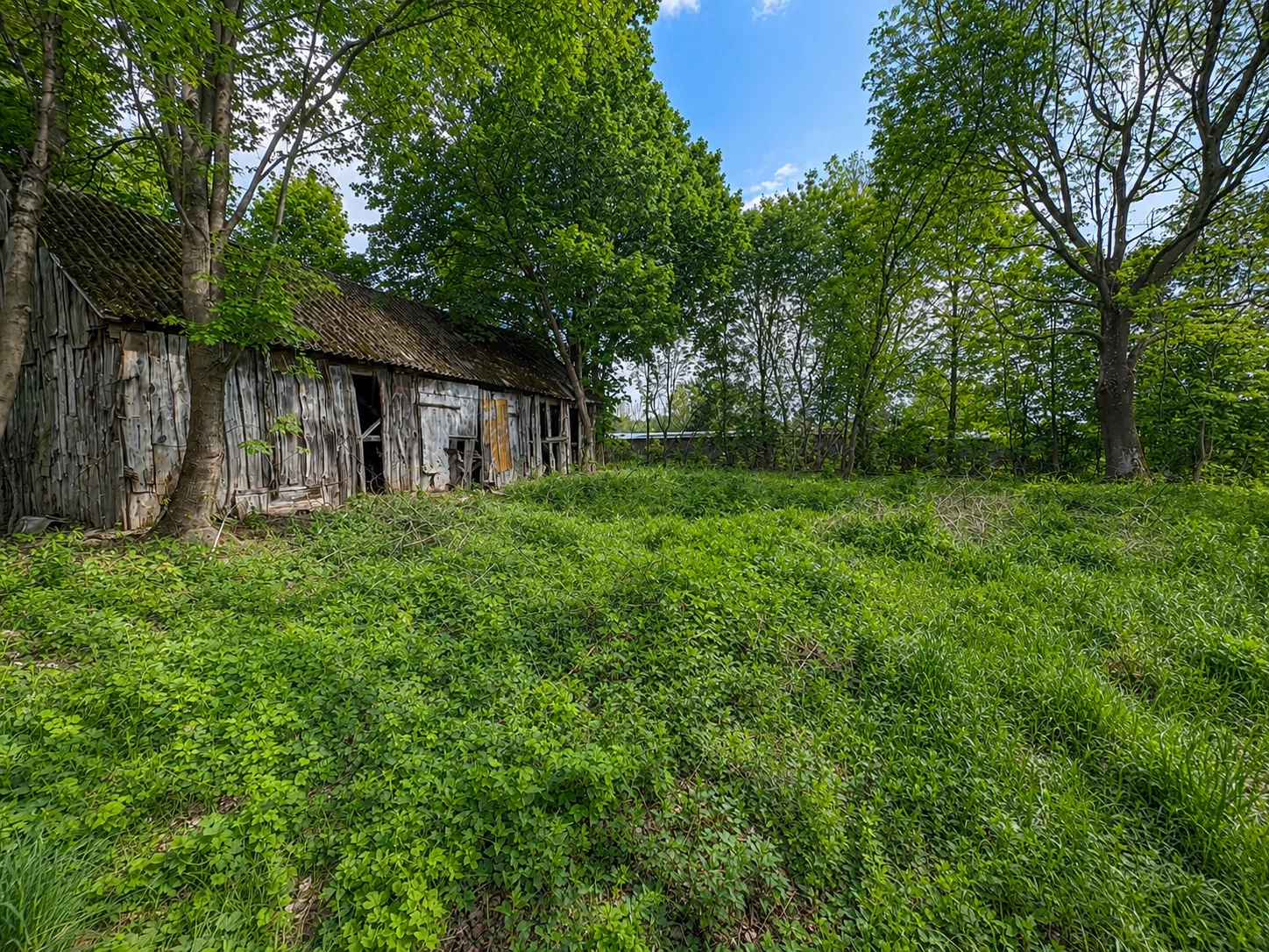 Wyjątkowa działka budowlano-rolna w skrudzie