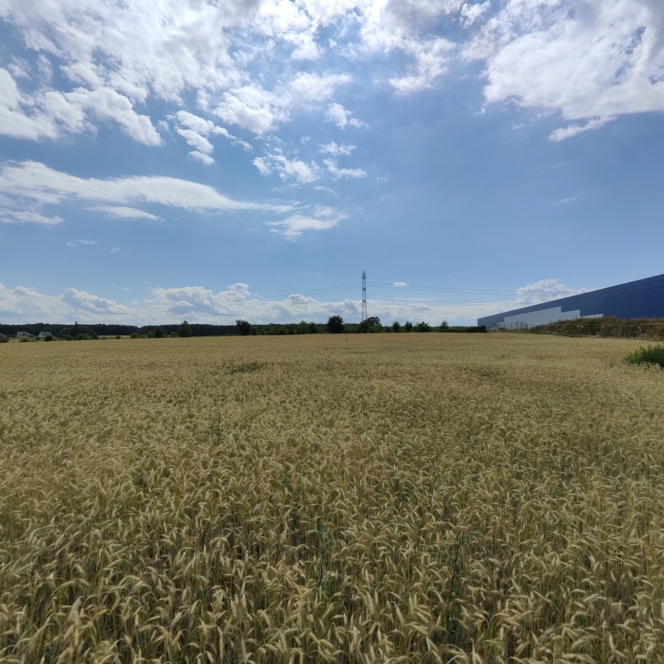 Działka inwestycyjna w Kruszowie 20.002 m2