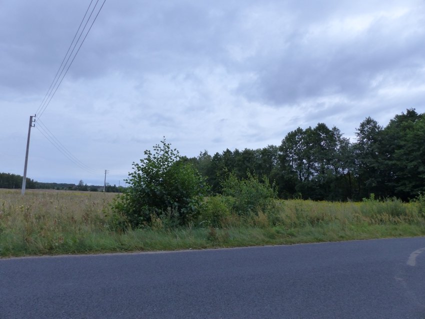 Prawie 9ha z WZ na 4 siedliska, strefa SU