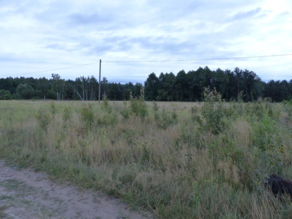 Prawie 9ha z WZ na 4 siedliska, strefa SU
