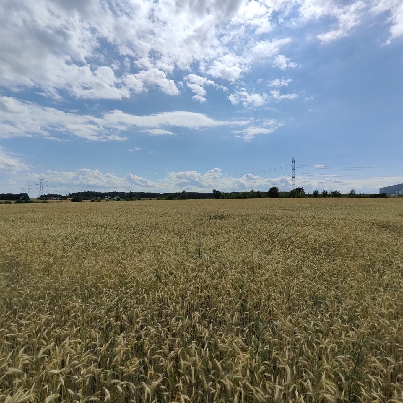 Działka inwestycyjna w Kruszowie 20.002 m2