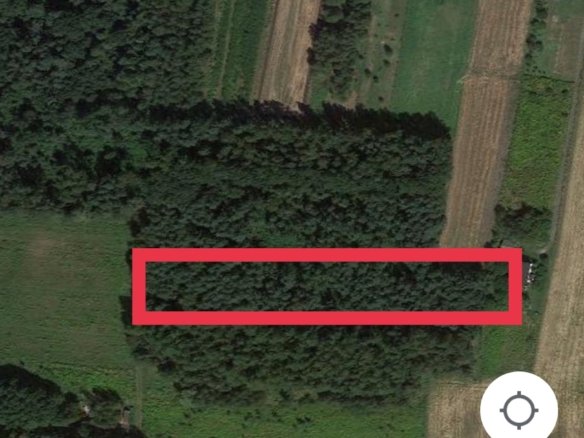 Działka leśna