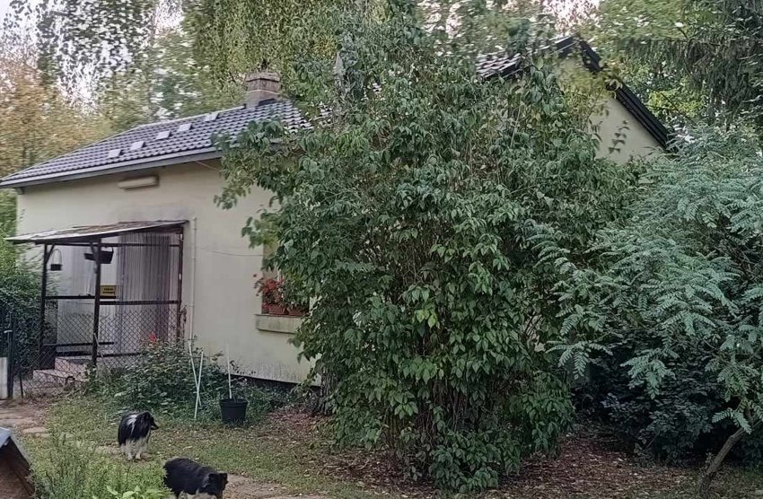 Posiadłość 46tys mkw blisko Warszawy