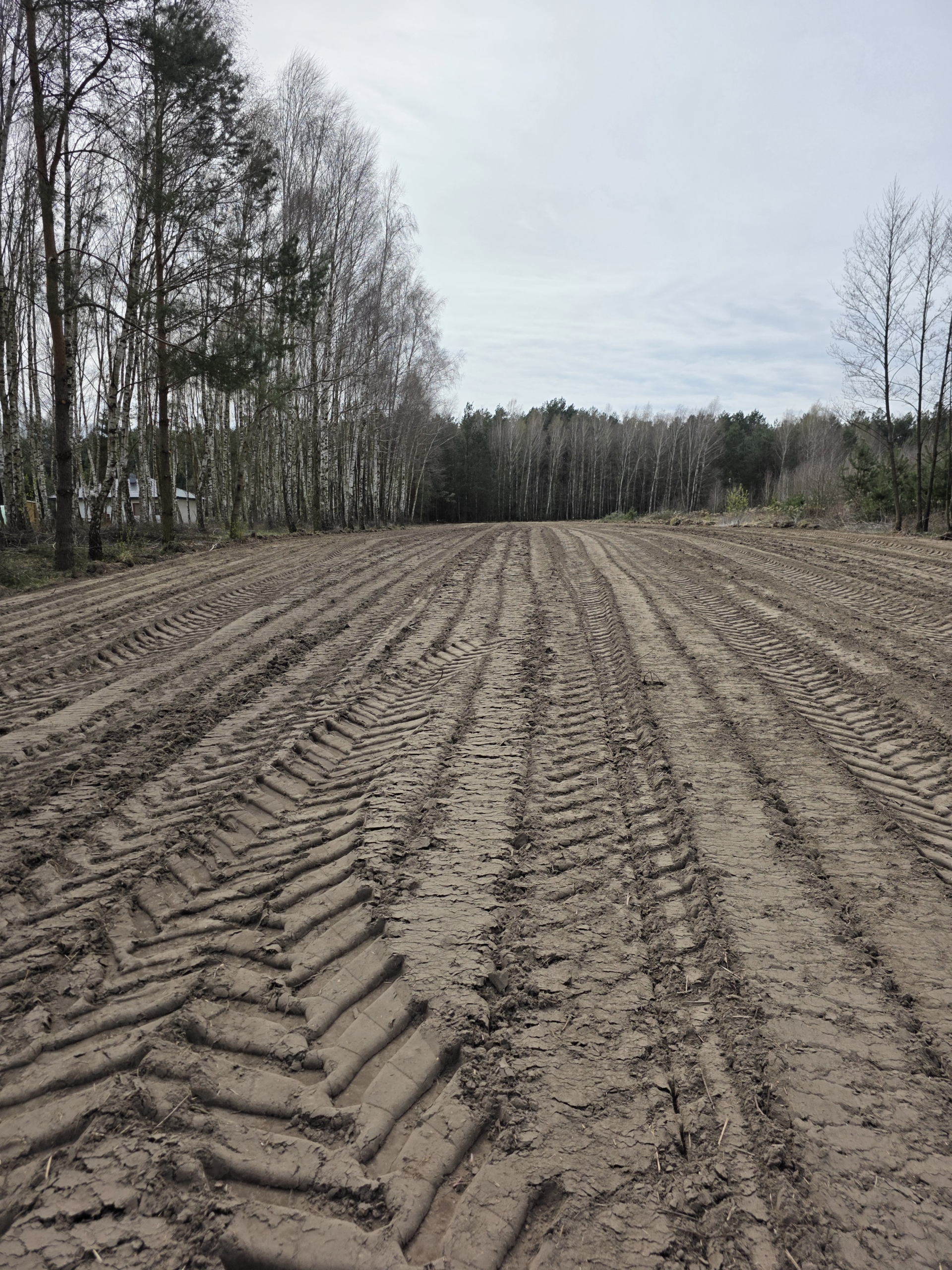 Budowlana 3000m2 Ostrowek,gm Galewice z pozwoleniem na budowę i projektami domów.