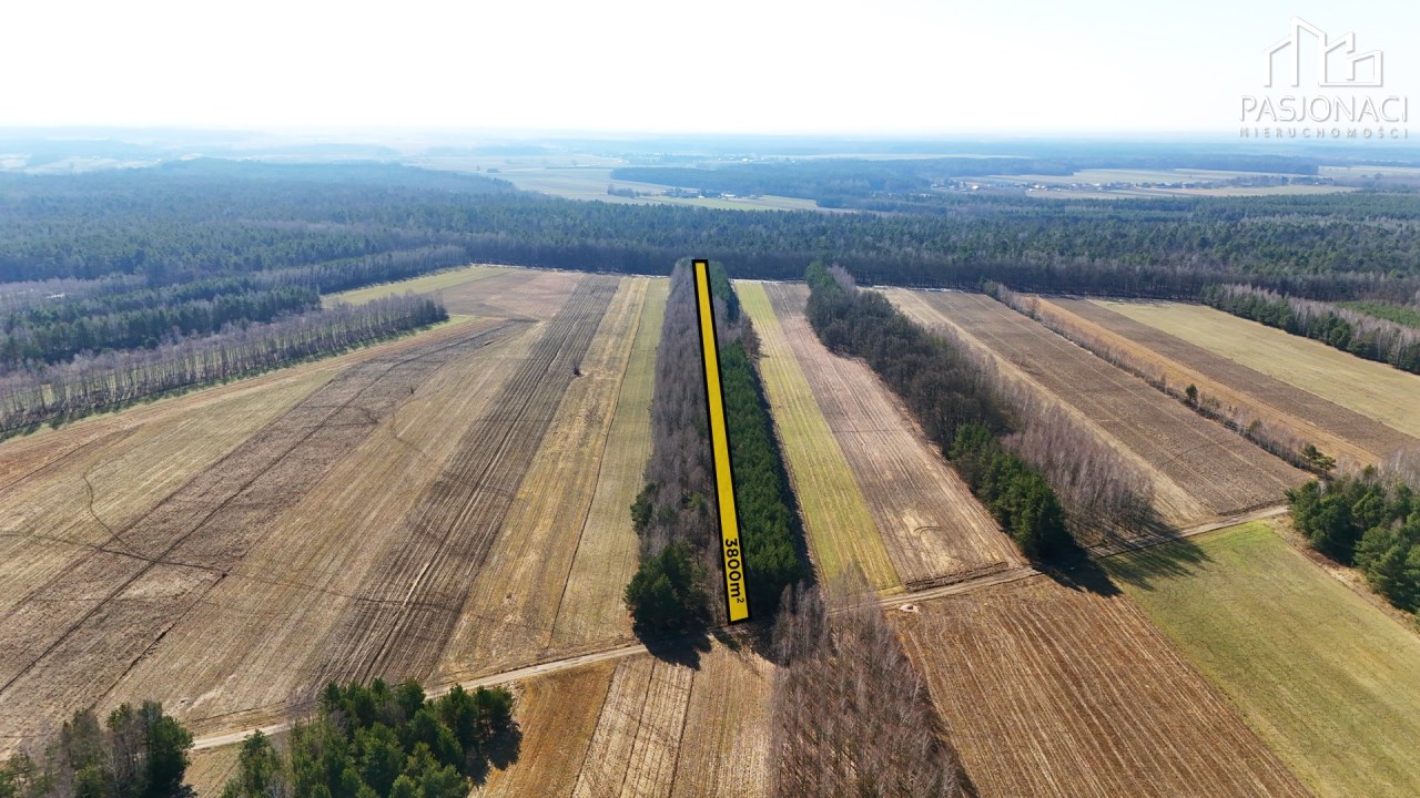 Działka na sprzedaż Siemień, Działyń