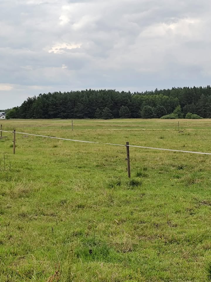 Działka siedliskowa 8800 mkw z mediami