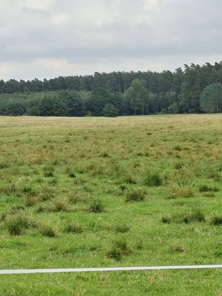 Działka rolna 6000mkw koło Czerska 20 zł za mkw