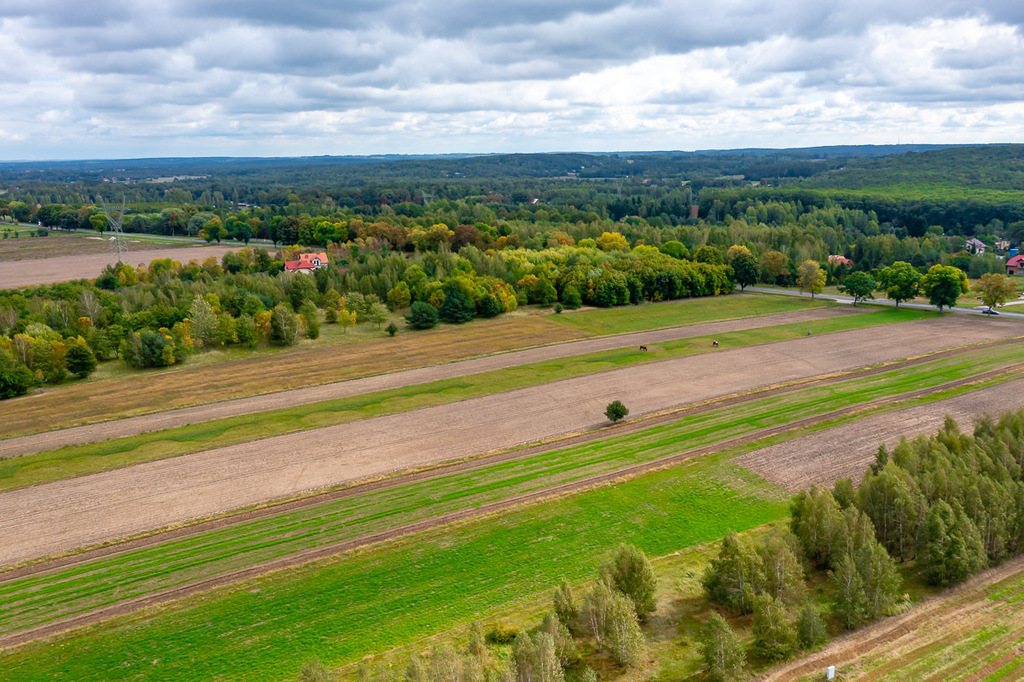 Działka budowlana 1400 m² – Skotniki, Zgierska